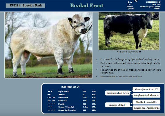 Bealad Frost