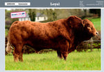 LOYAL, stamb. nr.: 76152