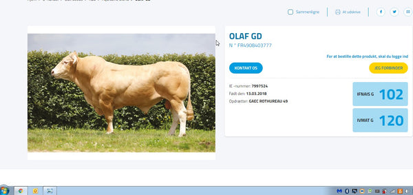 OLAF GD stb. 68352