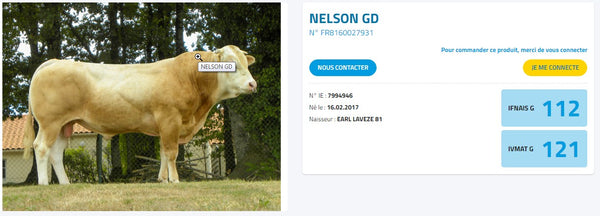 Nelson GD stb 68344.