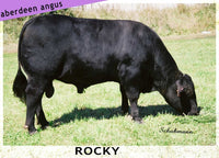 Rocky stb.58983